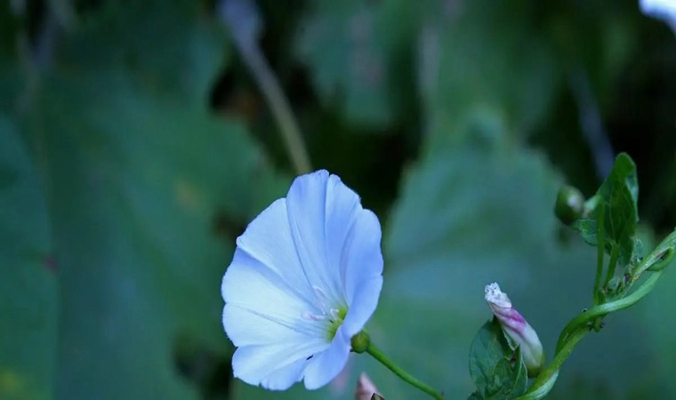 ����˿�㰴Ħ��