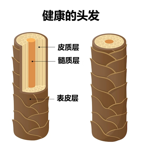 ����˿�����������3����ǧ���������ͷ��