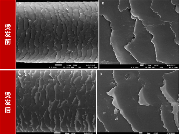 ����˿�����������3����ǧ���������ͷ��