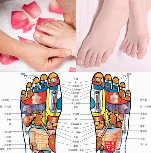 ��׷�����