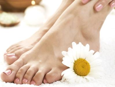 ����˫��