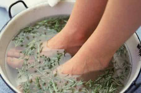 ��Ҷ ���� �ݽ�