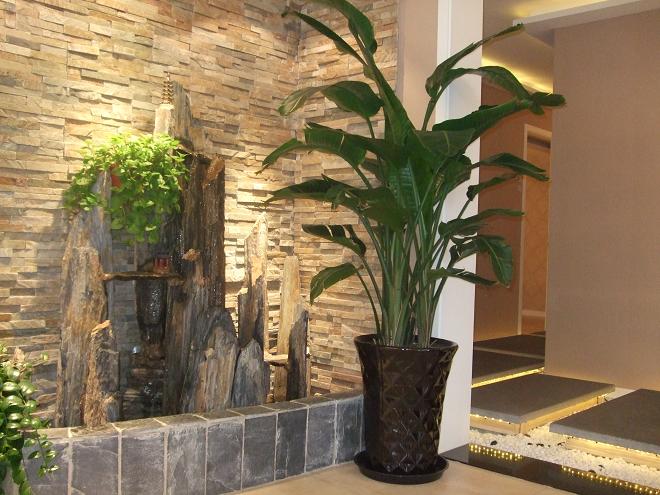 ���˼�ѹ��