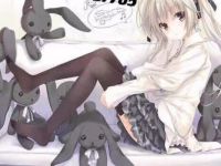 ˿���������